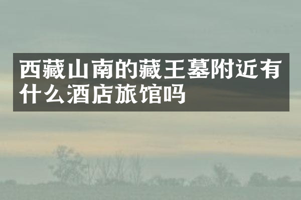 西藏山南的藏王墓附近有什么酒店旅馆吗
