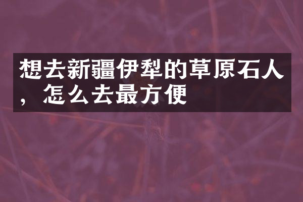 想去新疆伊犁的草原石人，怎么去最方便