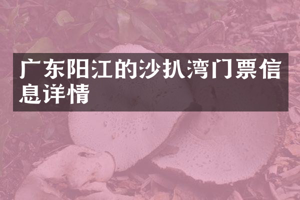 广东阳江的沙扒湾门票信息详情