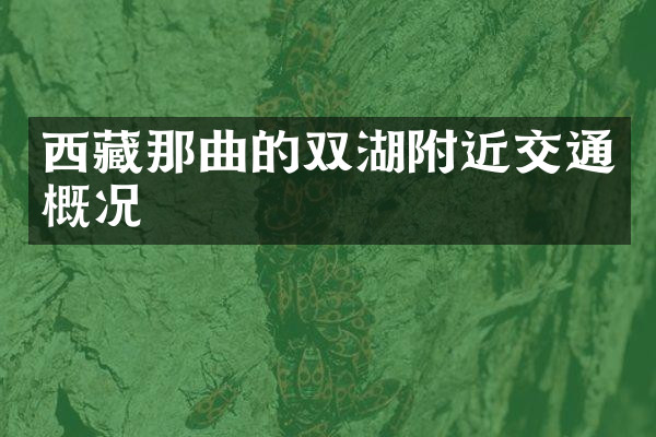 西藏那曲的双湖附近交通概况