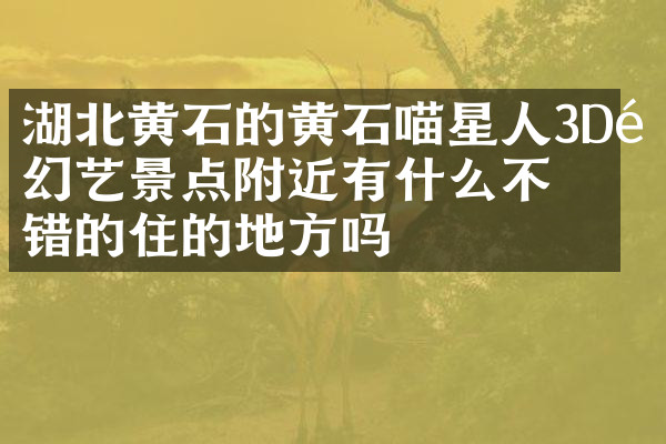 湖北黄石的黄石喵星人3D魔幻艺景点附近有什么不错的住的地方吗