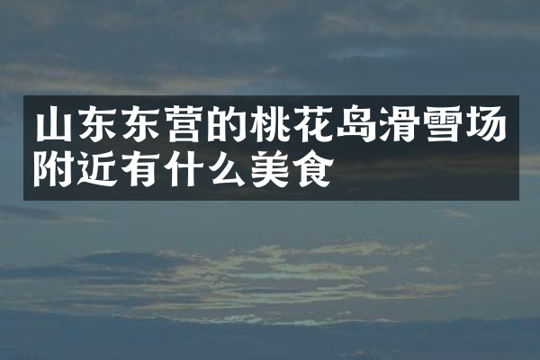 山东东营的桃花岛滑雪场附近有什么美食