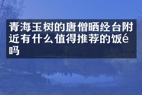 青海玉树的唐僧晒经台附近有什么值得推荐的饭馆吗