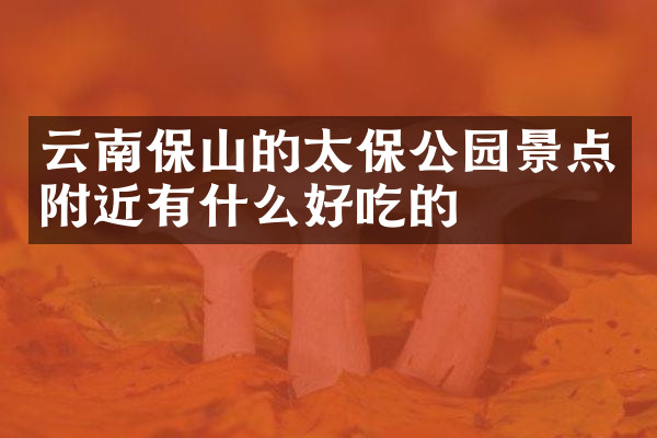 云南保山的太保公园景点附近有什么好吃的