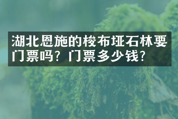 湖北恩施的梭布垭石林要门票吗？门票多少钱？