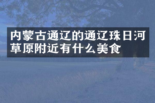 内蒙古通辽的通辽珠日河草原附近有什么美食