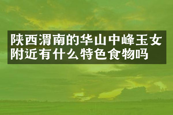 陕西渭南的华山中峰玉女附近有什么特色食物吗