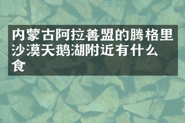 内蒙古阿拉善盟的腾格里沙漠天鹅湖附近有什么美食