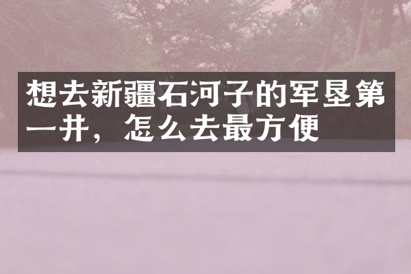 想去新疆石河子的军垦第一井，怎么去最方便