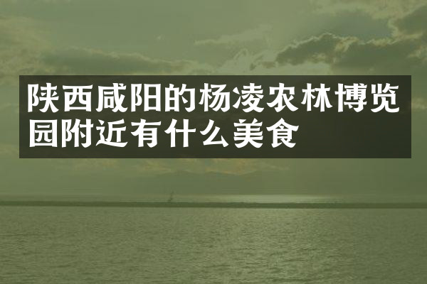 陕西咸阳的杨凌农林博览园附近有什么美食