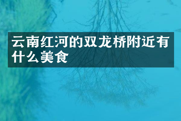 云南红河的双龙桥附近有什么美食