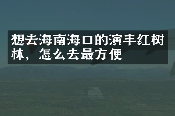 想去海南海口的演丰红树林，怎么去最方便