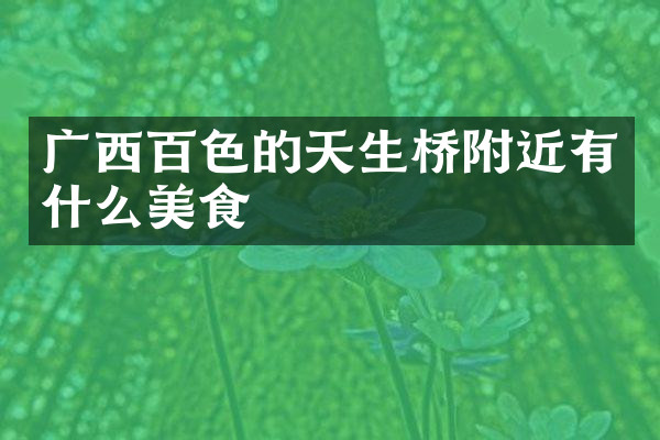 广西百色的天生桥附近有什么美食