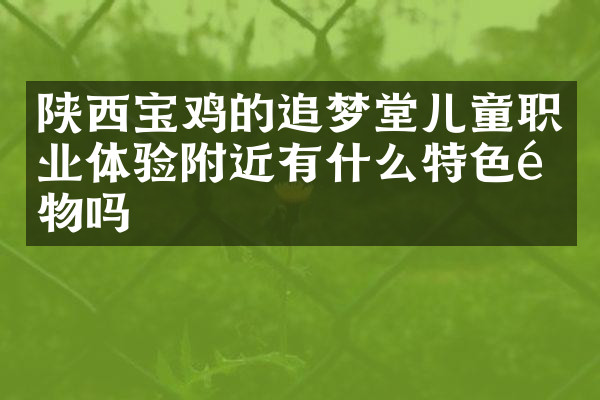 陕西宝鸡的追梦堂儿童职业体验附近有什么特色食物吗