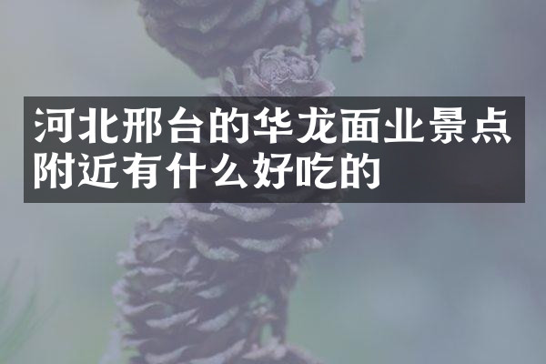 河北邢台的华龙面业景点附近有什么好吃的