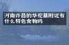 河南许昌的华佗墓附近有什么特色食物吗