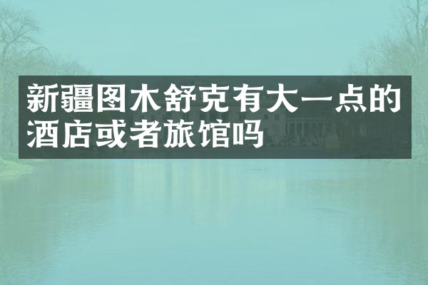 新疆图木舒克有大一点的酒店或者旅馆吗