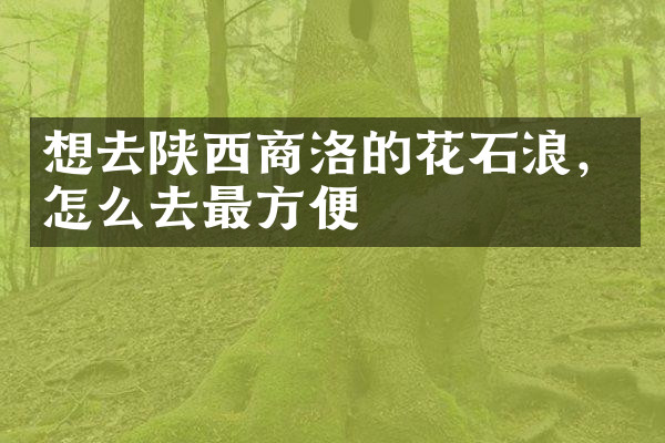 想去陕西商洛的花石浪，怎么去最方便