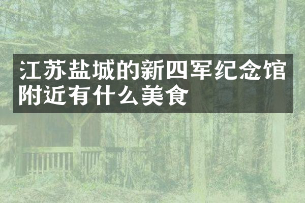 江苏盐城的新四军纪念馆附近有什么美食