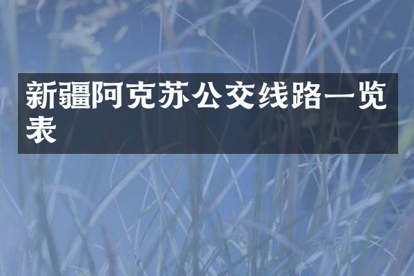新疆阿克苏公交线路一览表