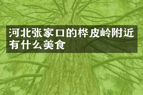 河北张家口的桦皮岭附近有什么美食
