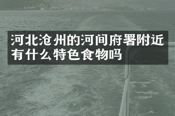 河北沧州的河间府署附近有什么特色食物吗