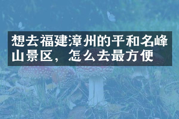 想去福建漳州的平和名峰山景区，怎么去最方便