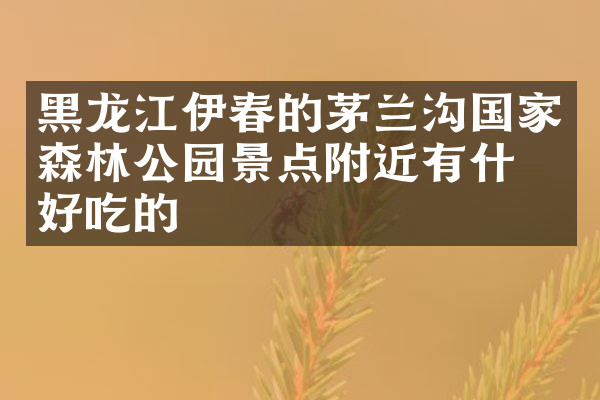 黑龙江伊春的茅兰沟国家森林公园景点附近有什么好吃的