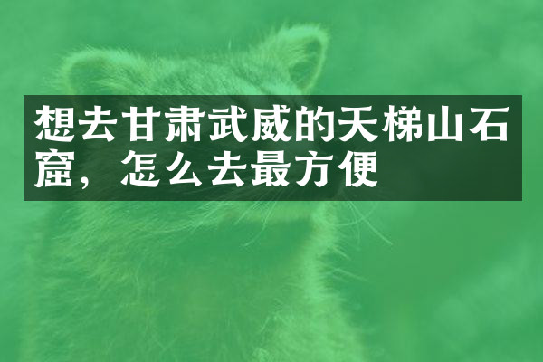 想去甘肃武威的天梯山石窟，怎么去最方便
