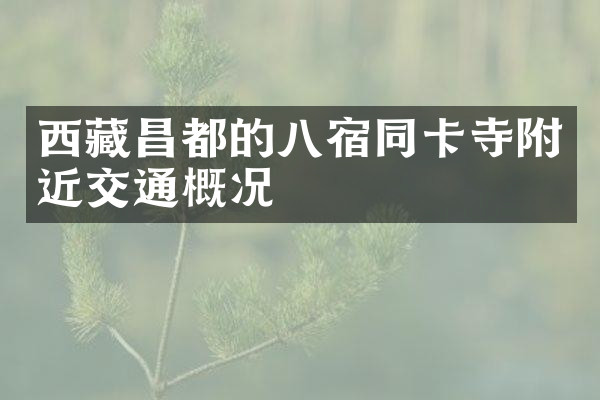 西藏昌都的八宿同卡寺附近交通概况