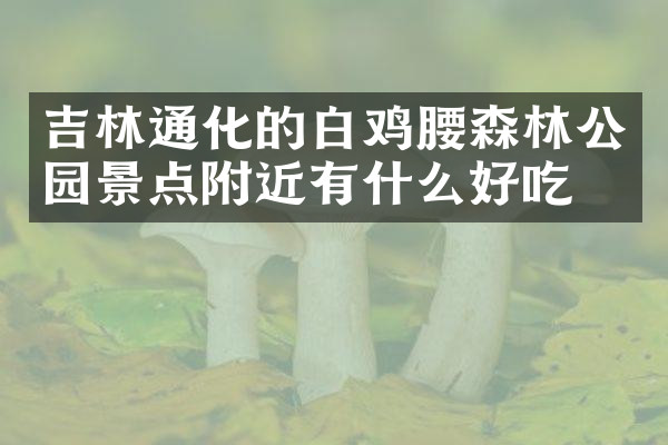 吉林通化的白鸡腰森林公园景点附近有什么好吃的