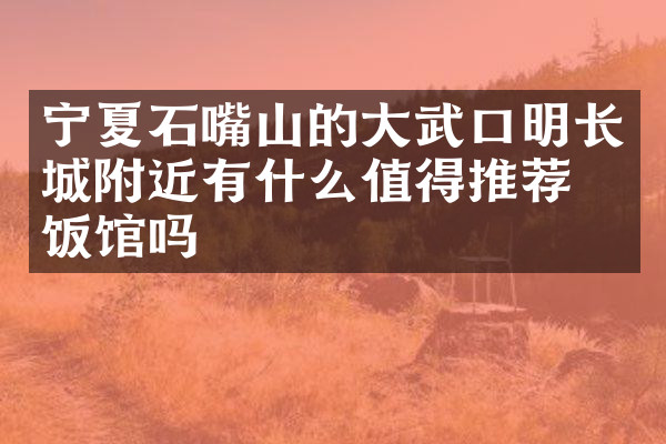 宁夏石嘴山的大武口明长城附近有什么值得推荐的饭馆吗