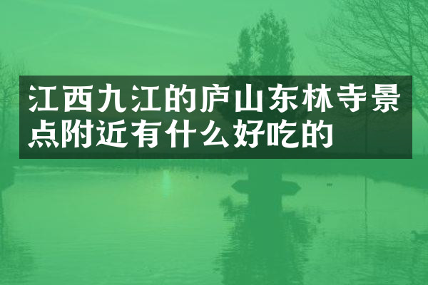 江西九江的庐山东林寺景点附近有什么好吃的