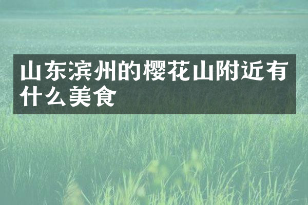 山东滨州的樱花山附近有什么美食