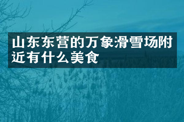 山东东营的万象滑雪场附近有什么美食