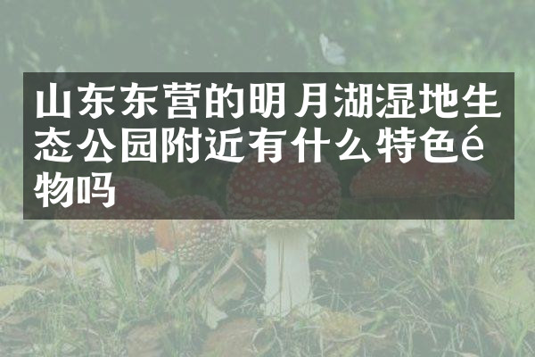 山东东营的明月湖湿地生态公园附近有什么特色食物吗
