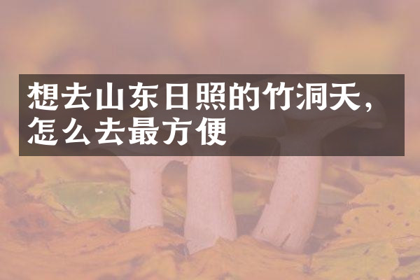 想去山东日照的竹洞天，怎么去最方便