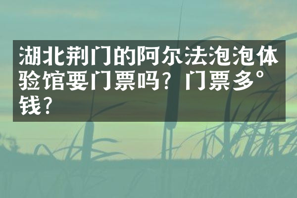 湖北荆门的阿尔法泡泡体验馆要门票吗？门票多少钱？