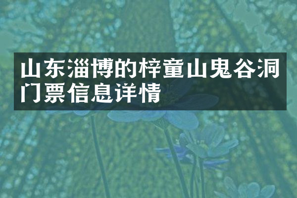 山东淄博的梓童山鬼谷洞门票信息详情