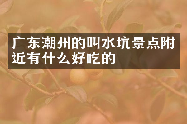 广东潮州的叫水坑景点附近有什么好吃的