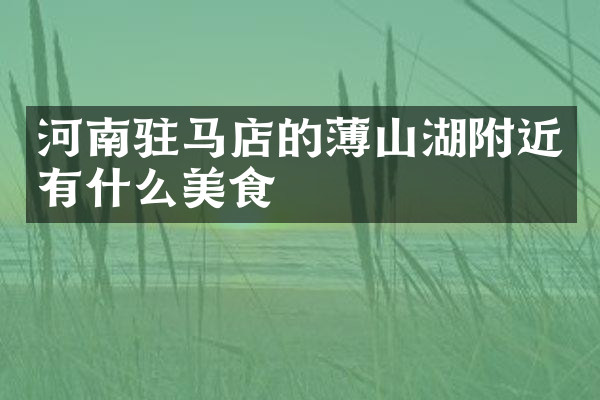 河南驻马店的薄山湖附近有什么美食