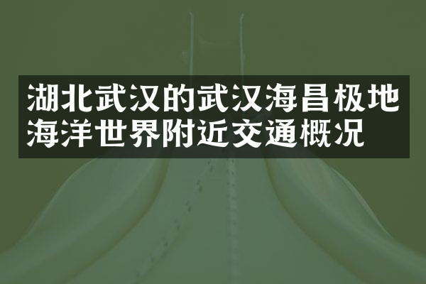 湖北武汉的武汉海昌极地海洋世界附近交通概况