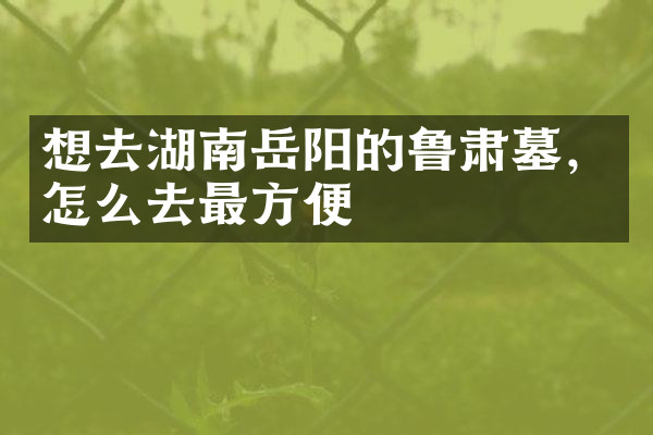 想去湖南岳阳的鲁肃墓，怎么去最方便