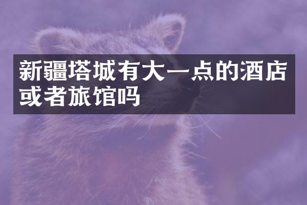 新疆塔城有大一点的酒店或者旅馆吗
