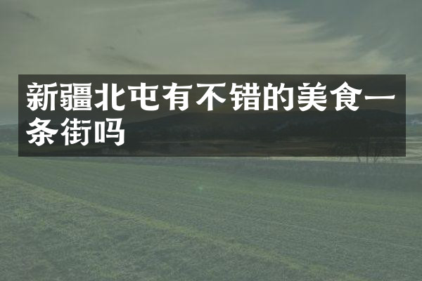 新疆北屯有不错的美食一条街吗