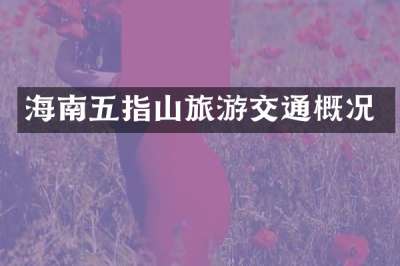 海南五指山旅游交通概况