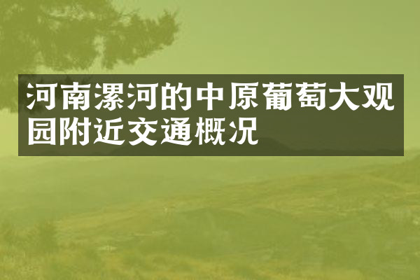 河南漯河的中原葡萄大观园附近交通概况