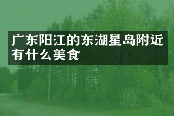 广东阳江的东湖星岛附近有什么美食