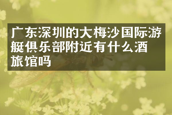 广东深圳的大梅沙国际游艇俱乐部附近有什么酒店旅馆吗