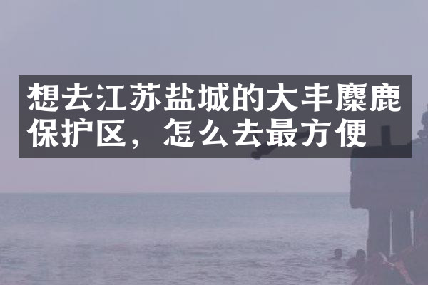 想去江苏盐城的大丰麋鹿保护区，怎么去最方便